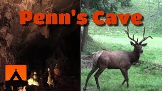 Penns Cave amp Wildlife Park Video Tour  Centre Hall PA [upl. by Eyde]