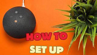 How To Set Up Echo Dot [upl. by Cramer775]