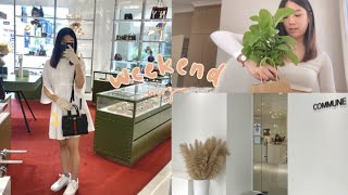 马来西亚 vlog ♡ 买了新植物 🪴 逛JPO 🛒 new cafe in JB ☕️ mossery 2022 planner ☁️✨ [upl. by Leitao]