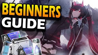 Punishing Gray Raven Beginners Guide [upl. by Esinyt607]