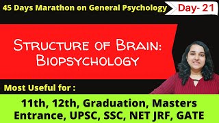 Structure of Brain explained in detail biopsychology General Psychology in Hindi Mind Review [upl. by Simaj]