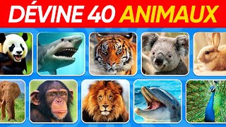 Devine 40 ANIMAUX Terrestre en Seulement 6 secondes  Quiz de Culture Générale  Buzz Quiz [upl. by Marciano]