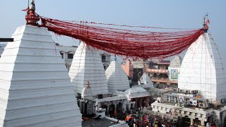 Live Darshan Baba Baidyanath Deoghar  देवघर लाइव दर्शन बाबा बैद्यनाथ ज्योतिर्लिंग [upl. by Jeanette]