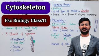 Cytoskeleton Structure and Functions  Class 11 Biology  UrduHindi 2023 [upl. by Anaul732]