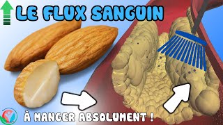 Améliorez Votre Taux De Circulation Sanguine Avec Ces 5 Noix Nutritives  Allez Santé [upl. by Wauters]