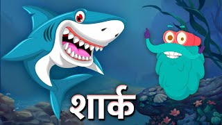 शार्क  मिथ्स बस्टेड  शार्क  Sharks  Myths Busted In Hindi  DrBinocs Show  Binocs Ki Duniya [upl. by Jerrilyn933]