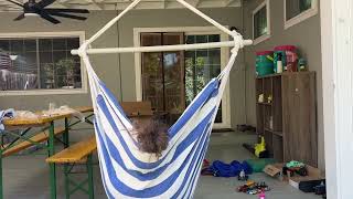 ADVOKAIR Hammock Chair Hanging Chair Rope Swing XXL Review [upl. by Denten]