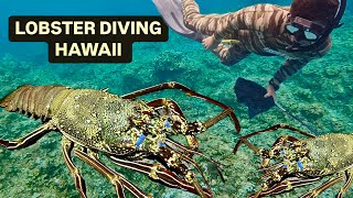 Diving for MASSIVE LOBSTERS in Hawaii  Camping Catch and Cook [upl. by Sadie]