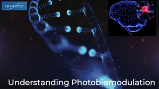 What exactly is PHOTO BIO MODULATION [upl. by Dnalhsa]