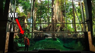 I Visited One of the Largest Indoor Rainforests in the Middle of a City [upl. by Nelyt]