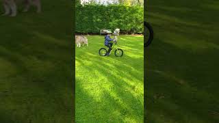 kids first ride on bike without stabilisers part 2 [upl. by Liakim]