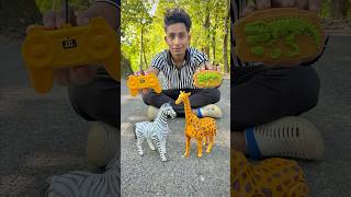 Rc Horse and Remote Control Giraffe Unboxing🔥🦒 [upl. by Anertal184]