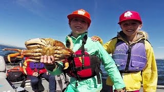 The Recreational Crab Fishery in Puget Sound Washington [upl. by Isabeau]