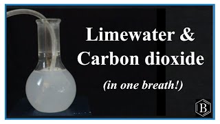 Testing for CO2 Carbon dioxide with Limewater [upl. by Hertzog]