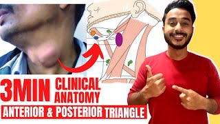 posterior triangle of neck clinical anatomy  anterior triangle of neck clinical anatomy [upl. by Friederike]