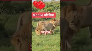 Mobile kho gya 🤣🤣funnyvideos funny funnyanimls funnyshorts funnymemes funnycomedy funnyclips [upl. by Volotta]