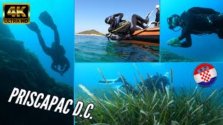 THIS IS PRISCAPAC DIVING CENTER  Korcula Island Croatia  4K [upl. by Girhiny]