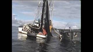 Southeast Alaska Salmon fishing [upl. by Rillings]