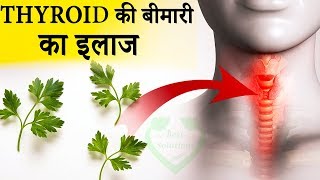 खाली पेट धनिआ पत्ते खाने के फायदे और नुकसान  Dhania benefits for health [upl. by Concoff]