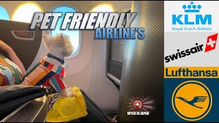 PET FRIENDLY AIRLINES  EUROPE TO ASIA  DOG IN CABIN  Lufthansa Swiss amp KLM [upl. by Tormoria]