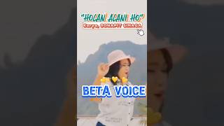 Holan Alani Ho Karya Bonapit Sinaga by Beta voice [upl. by Dibrin980]