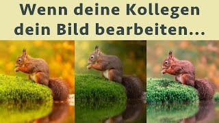 6 Fotografen bearbeiten mein Bild  erstaunliche Ergebnisse [upl. by Epuladaug]