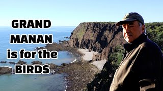 Grand Manans BIRDIEST HOT SPOTS [upl. by Alessandro]