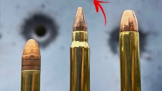 22LR vs 17 HMR vs 22 MAG Never Would’ve Guessed [upl. by Casi]