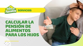 ¿Cómo se calcula la PENSIÓN DE ALIMENTOS para los hijos [upl. by Eiramannod]