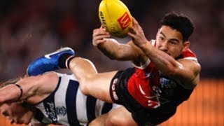 StKilda v Geelong Round 23 2024 [upl. by Delphinia476]