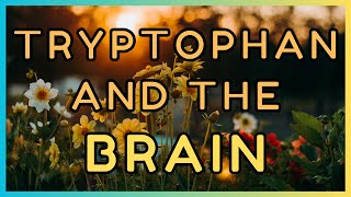 5 Htp ➜ Tryptophan ➜ Benefits ➜ Serotonin deficiency symptoms [upl. by Noied]