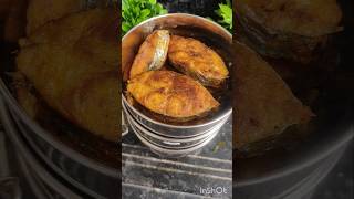 Todays lunch box  vanjaram fishfry fish kulambu dragon fruit ytshorts viralvideo trending [upl. by Anis]