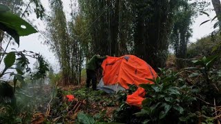 solo camping in heavy rain Forest 🏕 [upl. by Nilyac563]