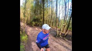 Haldon Forest Parkrun [upl. by Melone426]