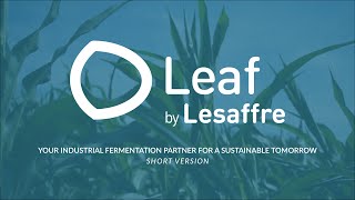 Corporate Video Short Version  Leaf by Lesaffre [upl. by Strage]