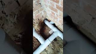 Five wash basin points and four floor water points drain water line fittings Ramesh Gupta merij lan [upl. by Noxaj]