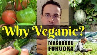 Monoculture Polyculture Permaculture amp Veganic Growing  Pros amp Cons [upl. by Khalsa]