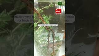 Thyme the secret to health flavor in every dishthymehealthcare herbal healthy recipe organic [upl. by Ozzie923]