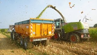 Ensilage De Maïs 2015 [upl. by Chester]