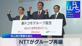 法人向け事業を強化 ＮＴＴがグループ再編（2021年10月25日） [upl. by Ysirhc]