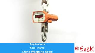 Crane Weighing Scale [upl. by Diehl]