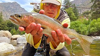 Fly fishing Kings Canyon amp Tenmile 7308624 [upl. by Direj73]