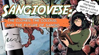 SANGIOVESE Clones amp Colours of the future  Morgenster Rigoletto Sangiovese  Wine Video No 277 [upl. by Kovacs]