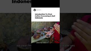 Introduction To Civet Coffee Processing In Bali Indonesia [upl. by Gypsie]