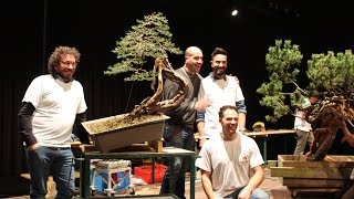 How to style a Pine Bonsai by Mauro Stemberger [upl. by Caritta]