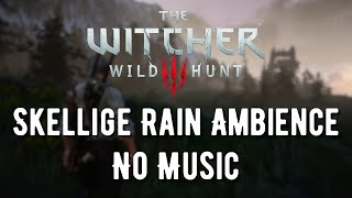 The Witcher 3  A Rainy Day in Skellige  Ambience No Music [upl. by Ecinaj]