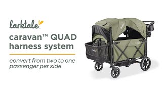 caravan Quad  Convertible Harness System [upl. by Rabkin]