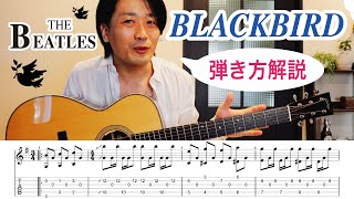 ギター講師が『BLACKBIRD  THE BEATLES』の弾き方を解説【TABギターレッスン】 [upl. by Beatriz948]