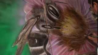 Abeille bee airbrush painting peinture contemporaine [upl. by Gianna]