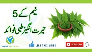 Neem Ke Patte Ke Fayde  Neem Tree [upl. by Aneekas]